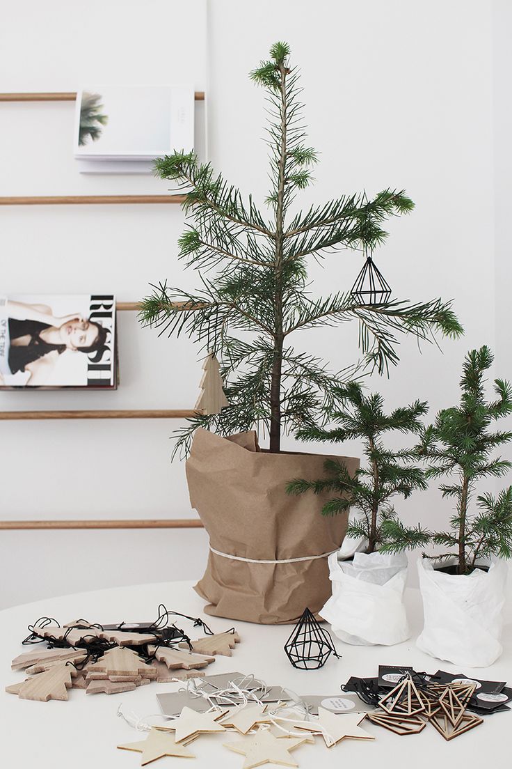 Witte kerst in huis! THESTYLEBOX